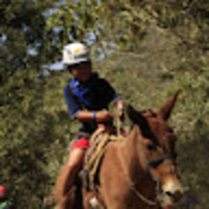 Meet your Posher, Jake